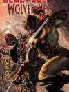 Deadpool vs. Wolverine (Paperback)