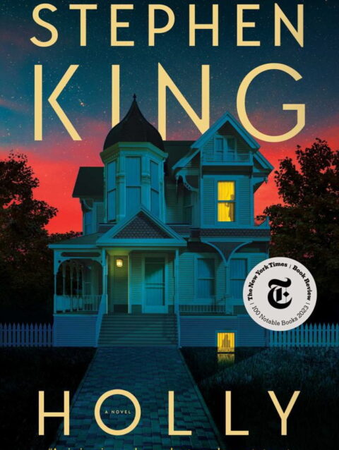 Stephen King: Holly (Paperback)
